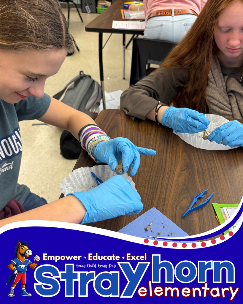 students with tweezers and gloves