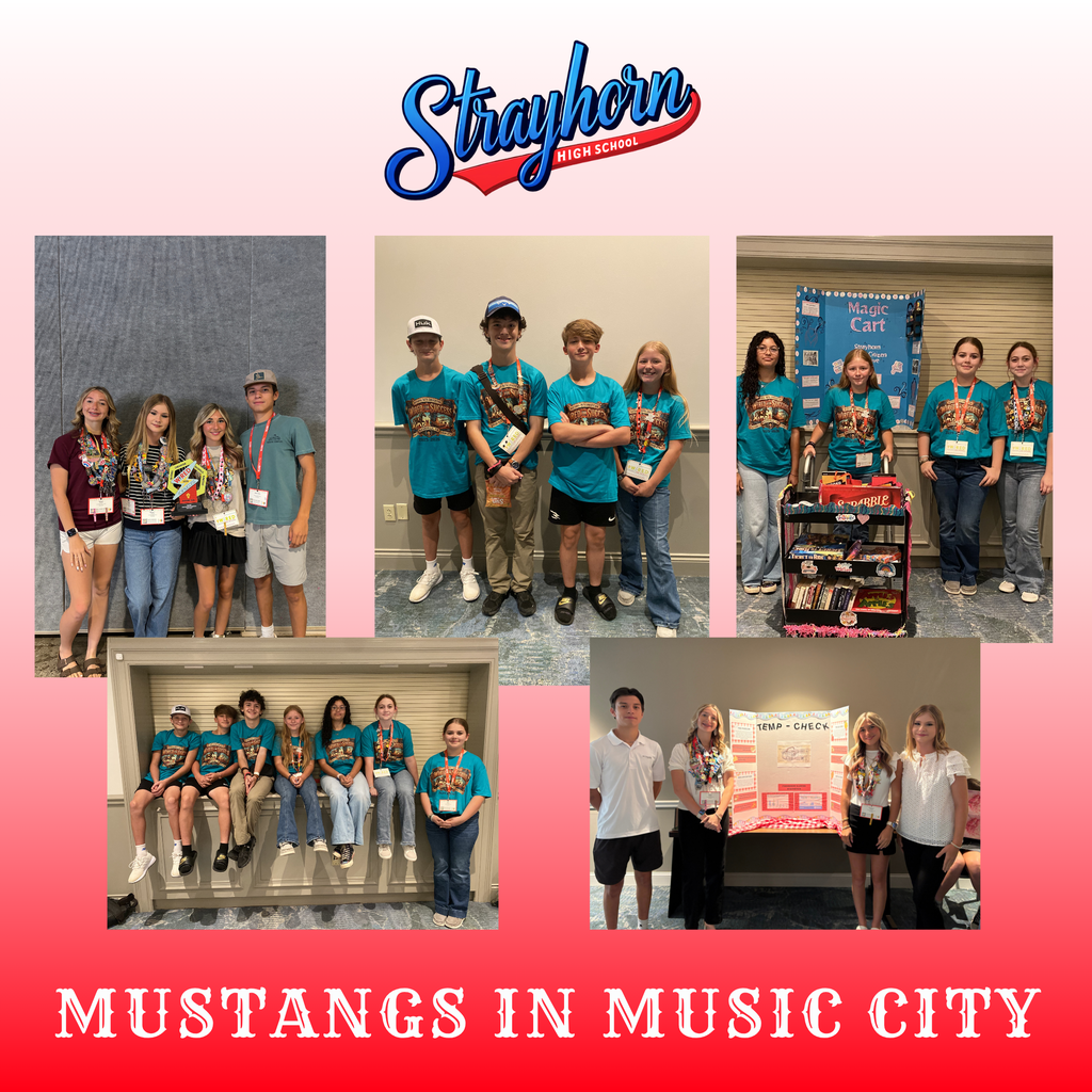 mustangs in music city