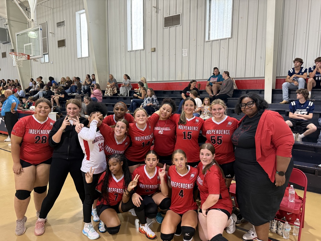 Volleyball team