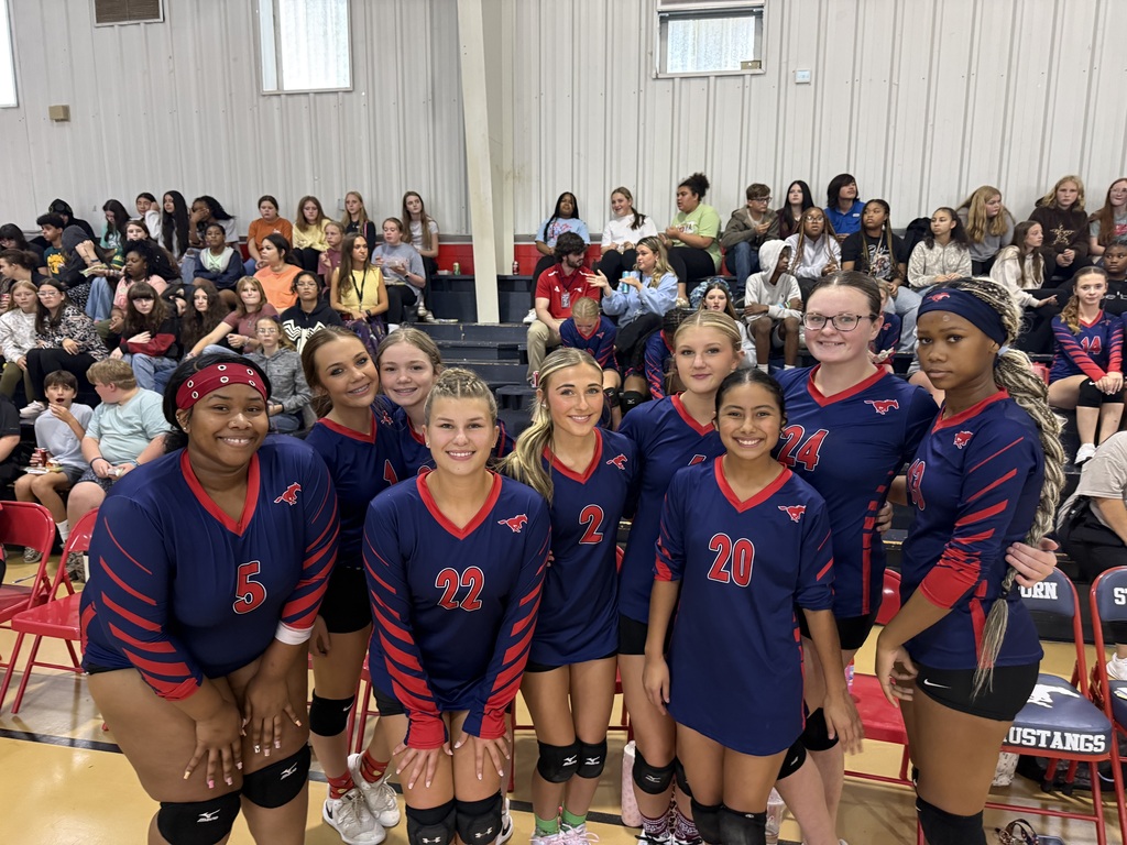 Volleyball team