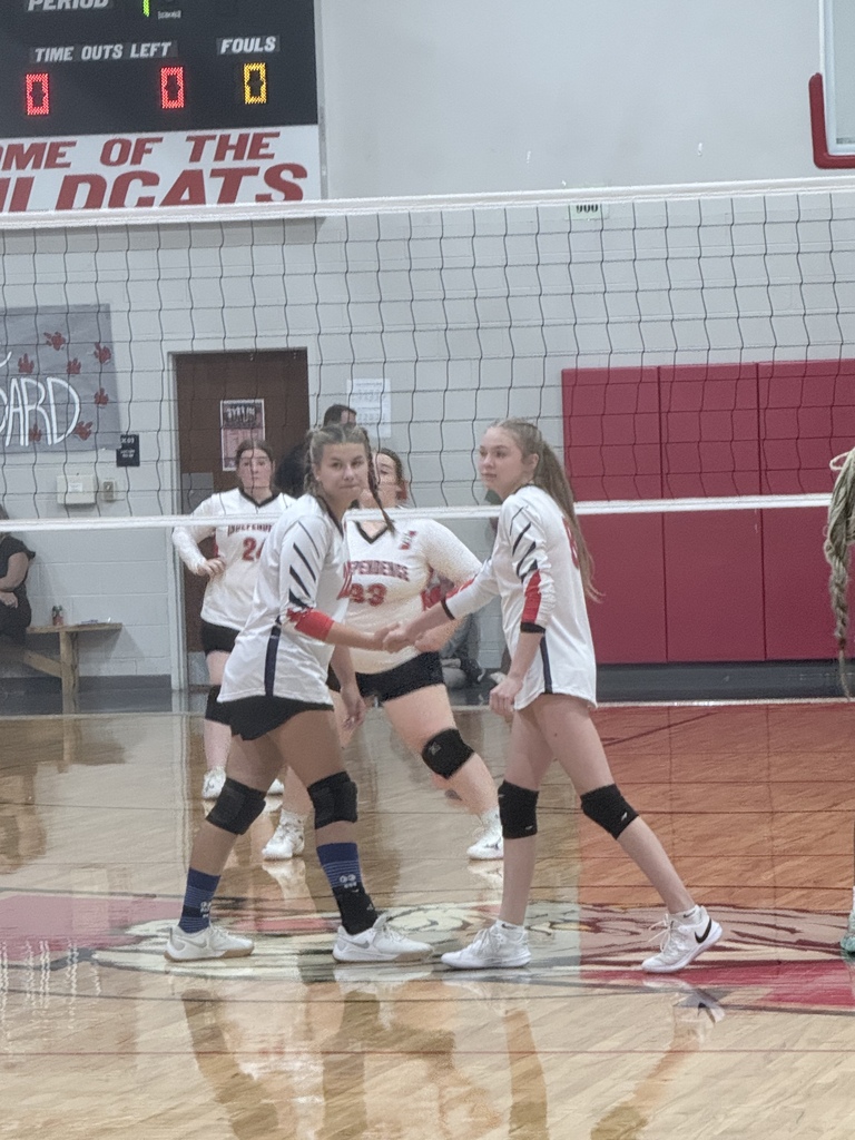 Girls Volleyball