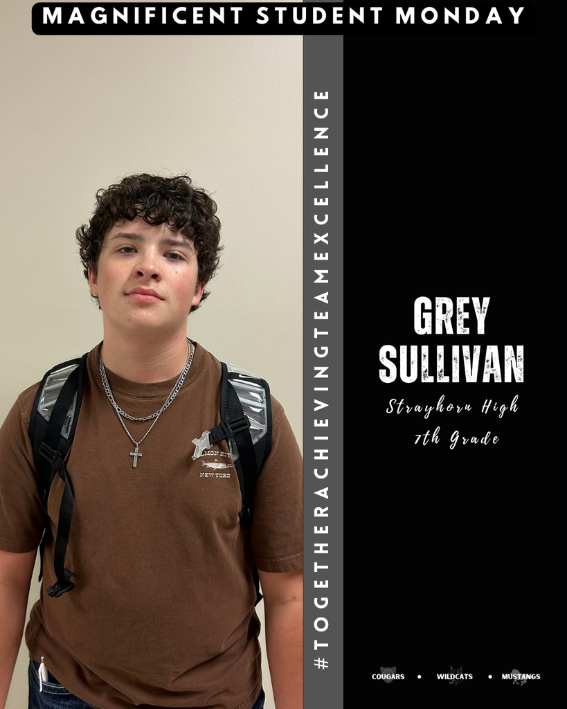 Smiling Grey Sullivan