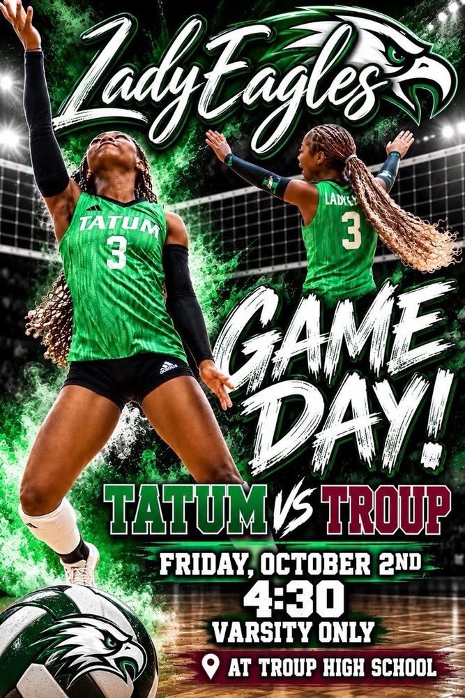 vball flyer 