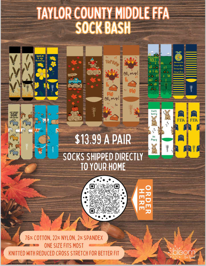Sock Bash