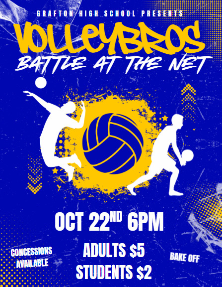 Volleybros Game