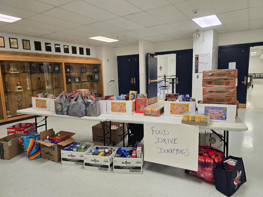 boxes and bags of food being donated
