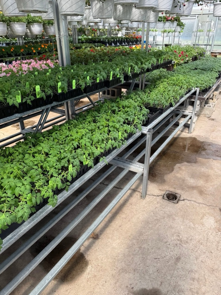 Taylor County FFA Information 2026