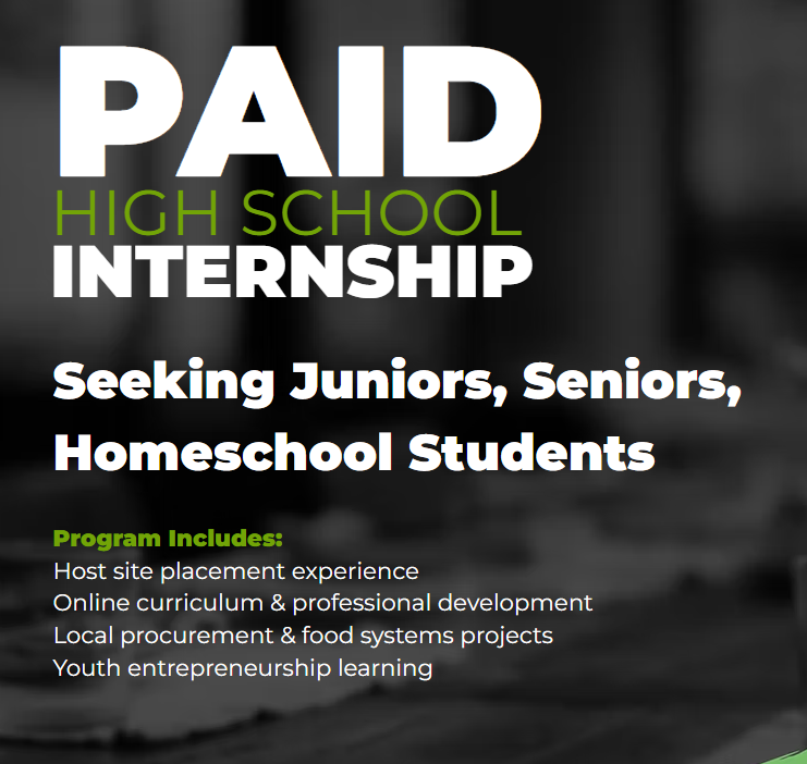 Paid Internship experience for Juniors and Seniors