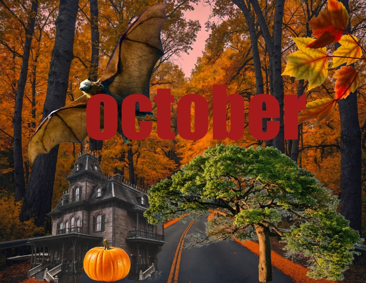 October Digital Imaging