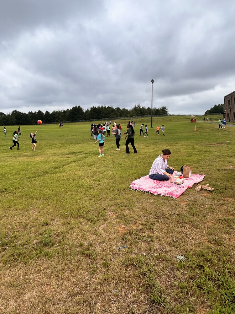 picnic