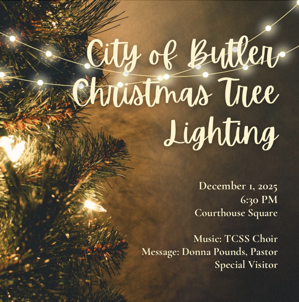 Christmas Tree Lighting