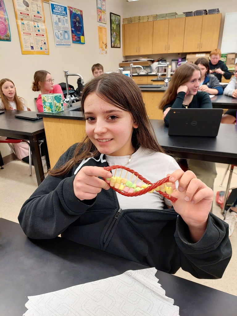 stem 2