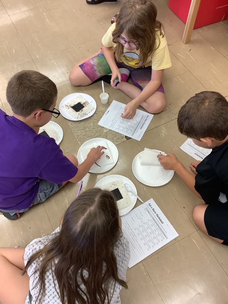observing worm