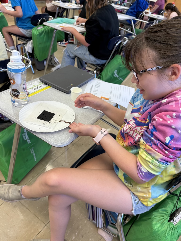 observing worm