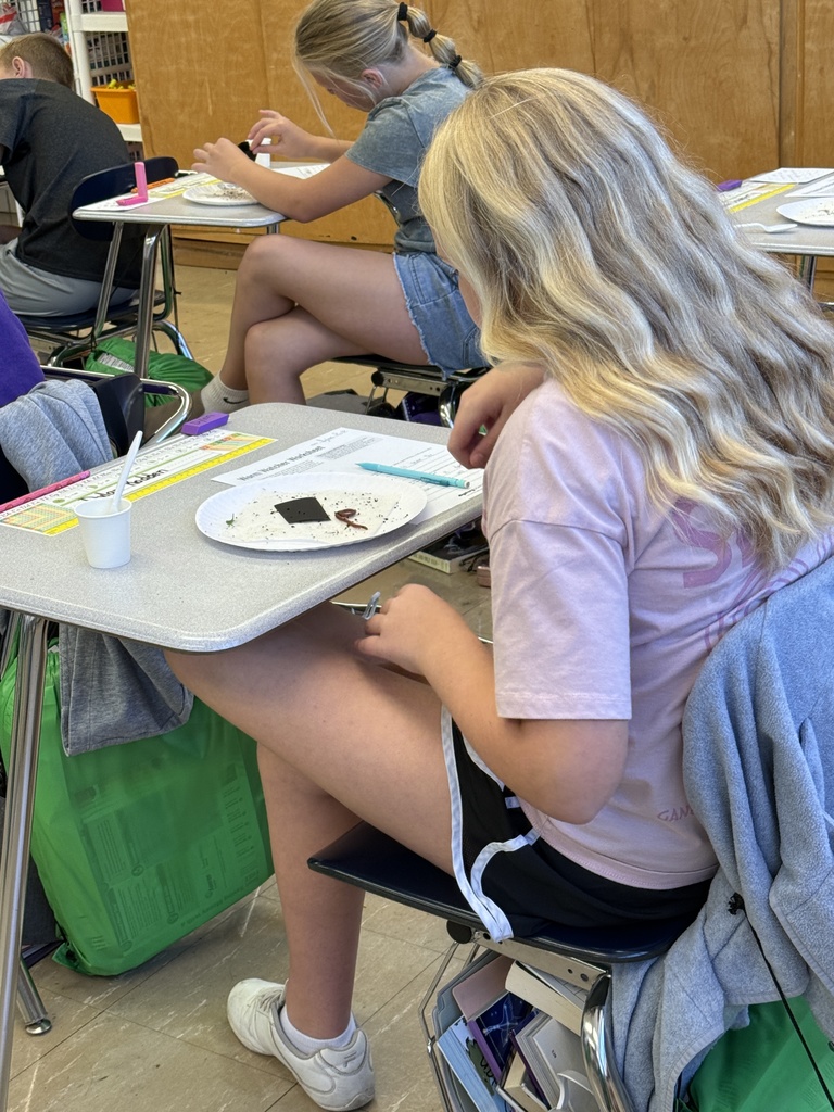 observing worm