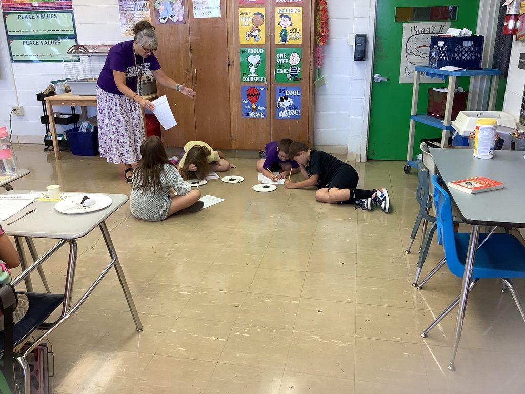 observing worm