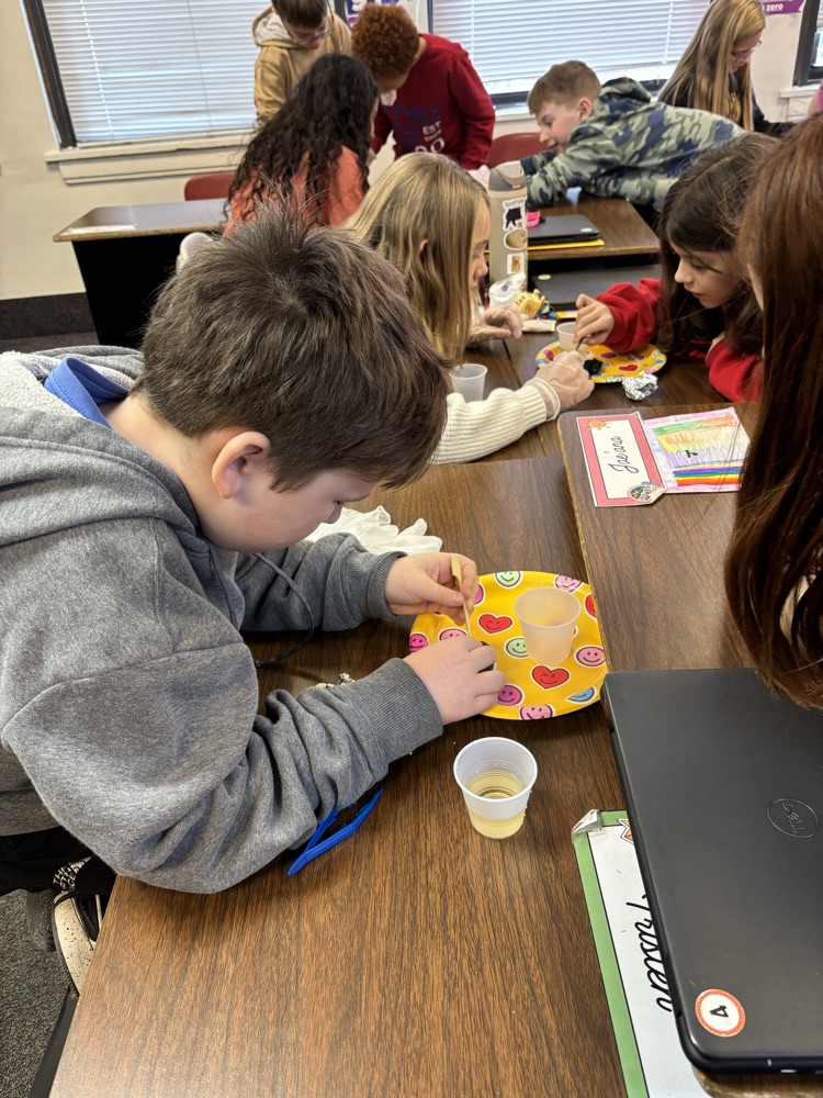 4th grade owl pellet dissections 