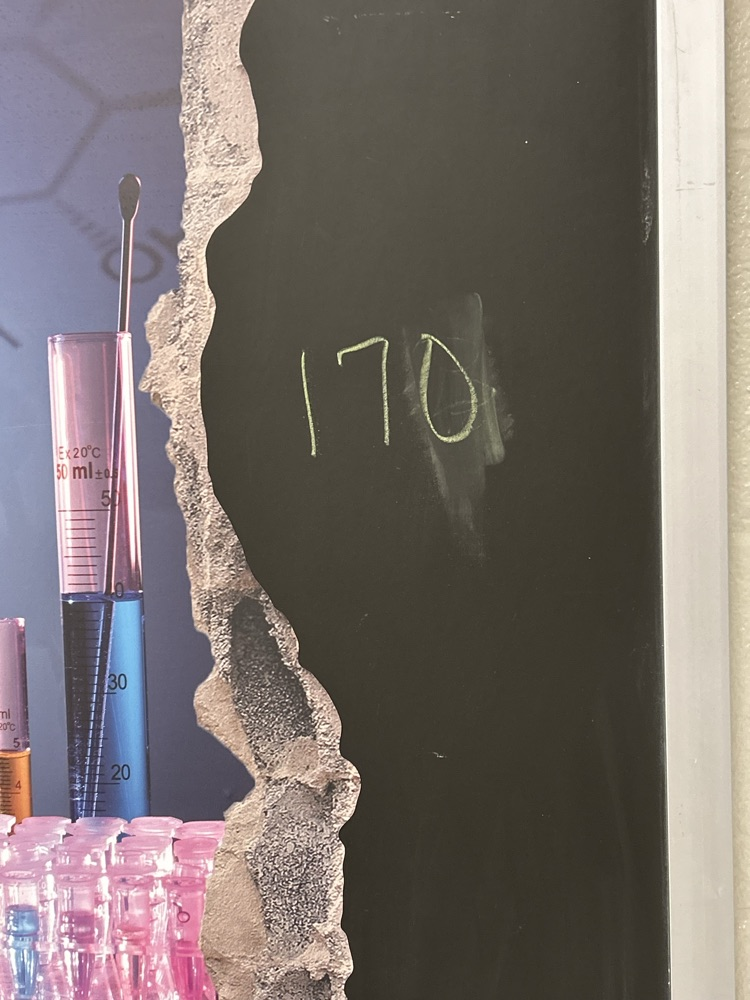 lab