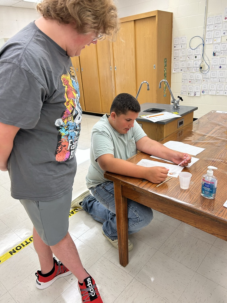 lab