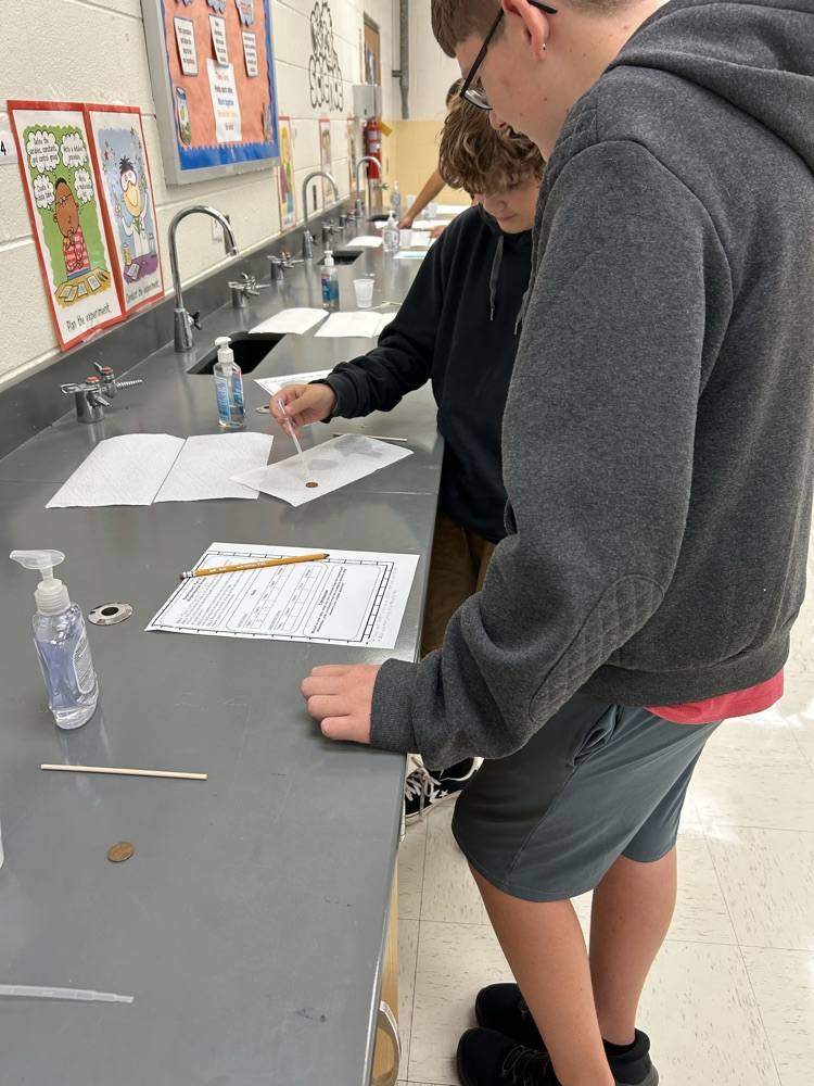 lab