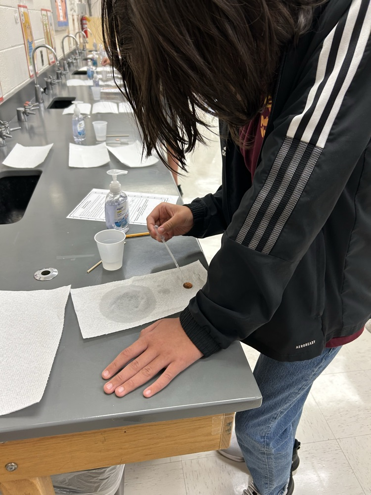 lab
