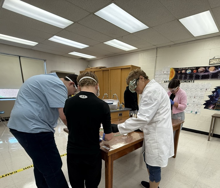 lab