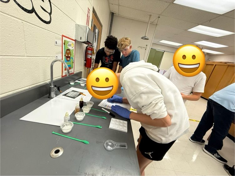 lab