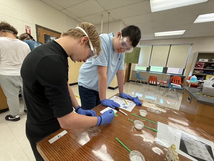 lab