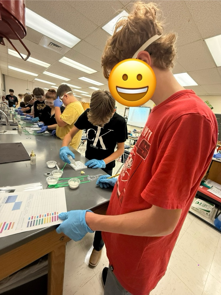 lab