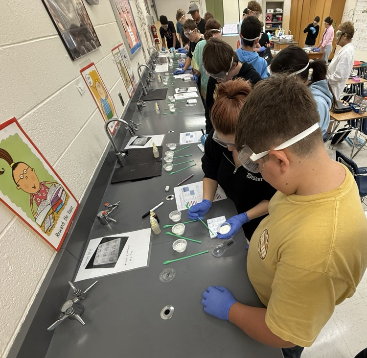 lab
