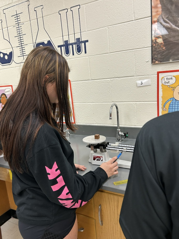 lab