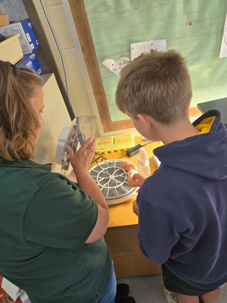 Ed