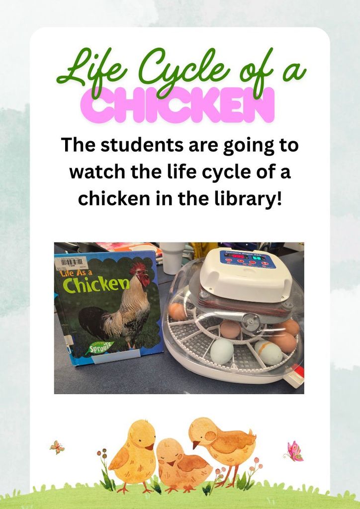 chicken