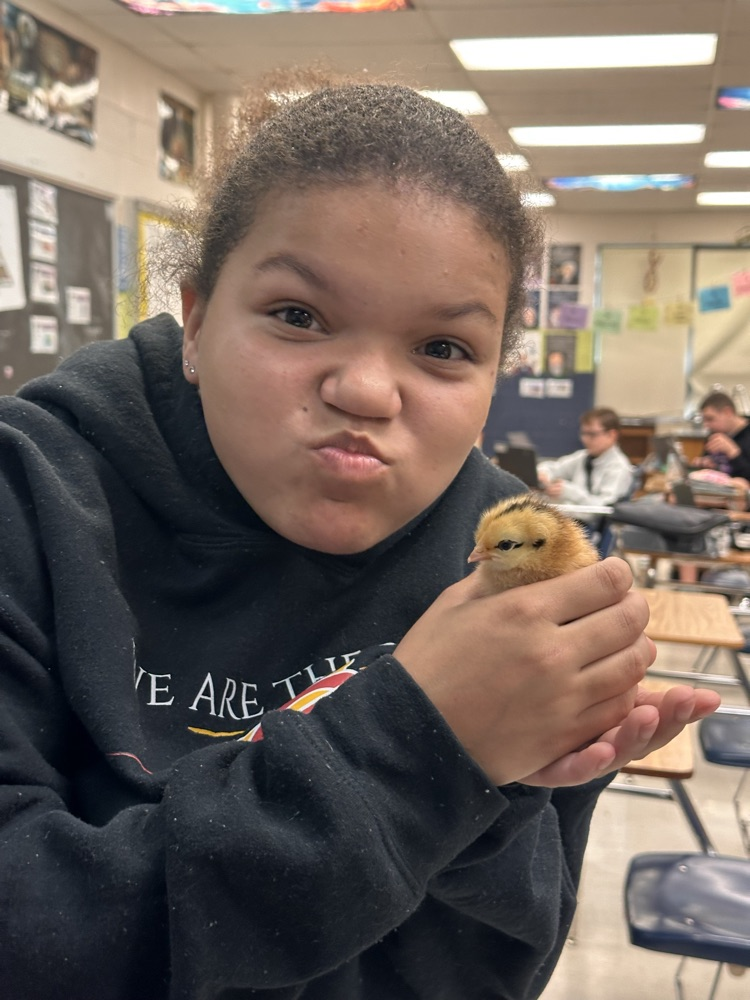 chick