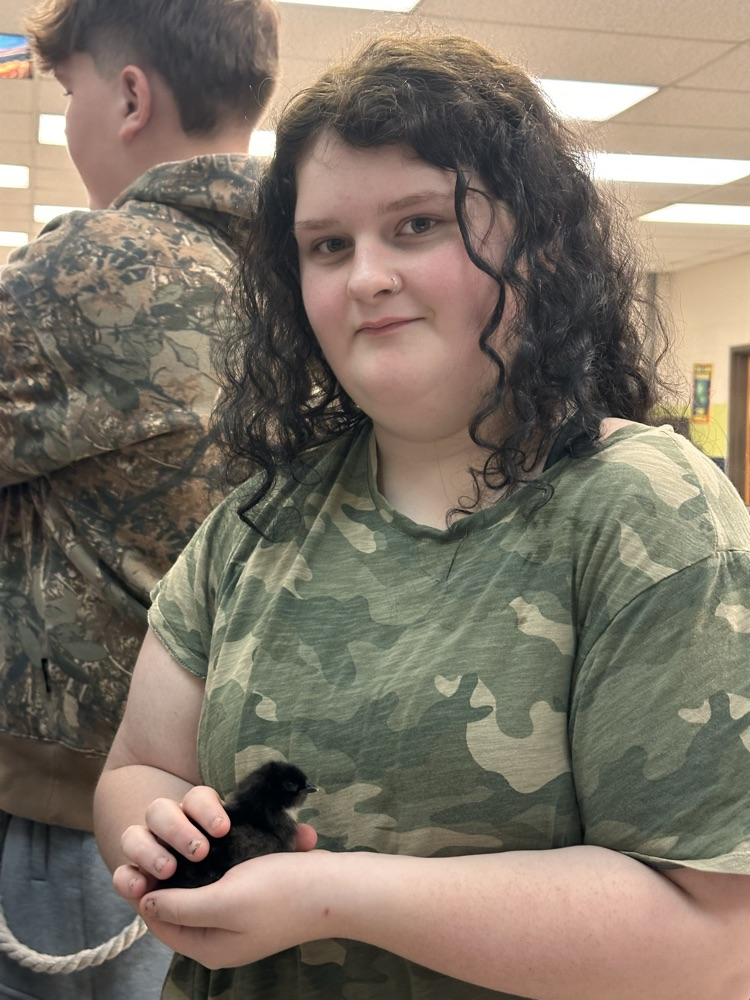 chick