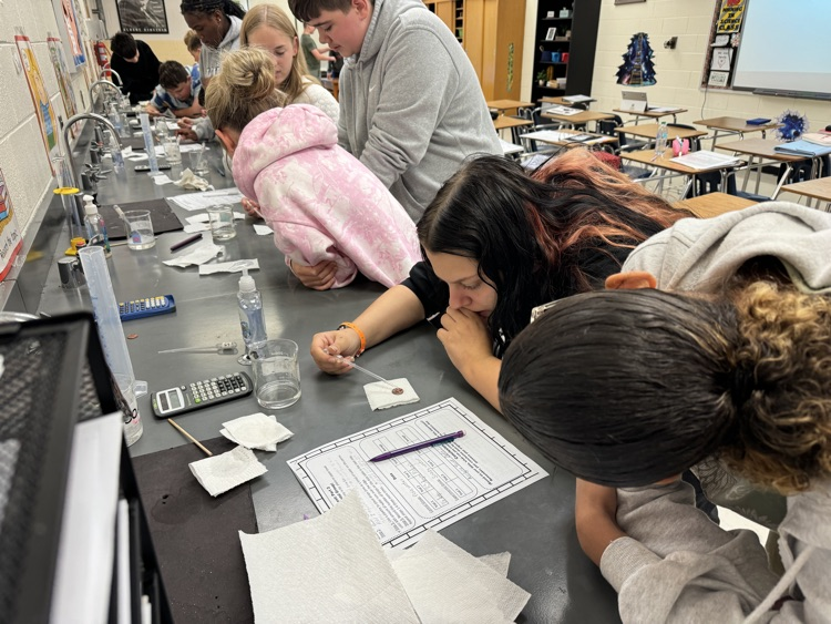 lab