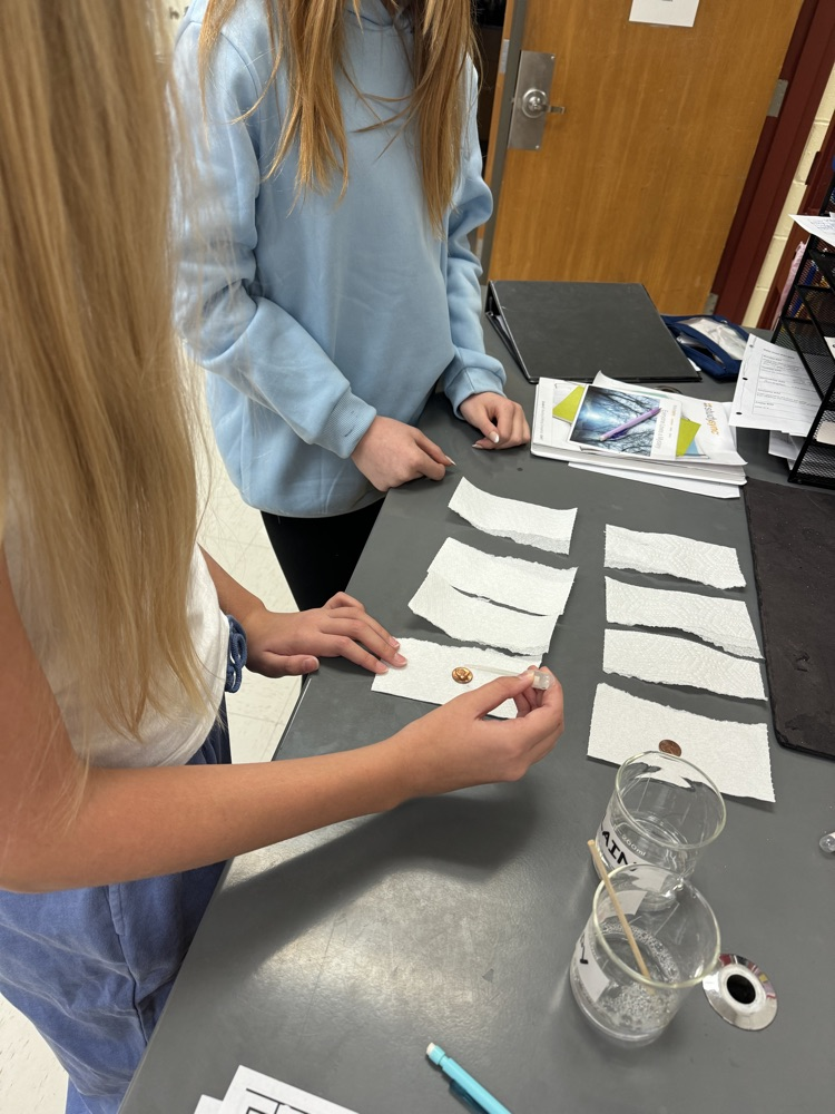 lab