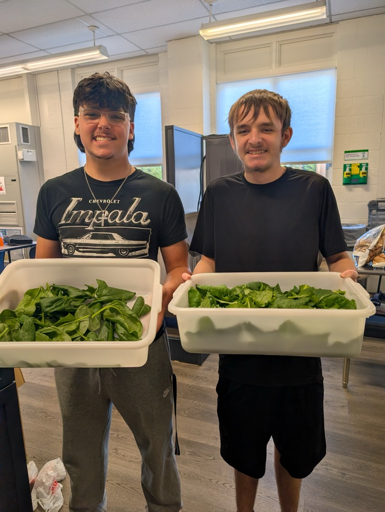 Students with vegetables 