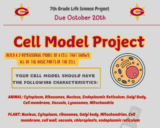 cell model
