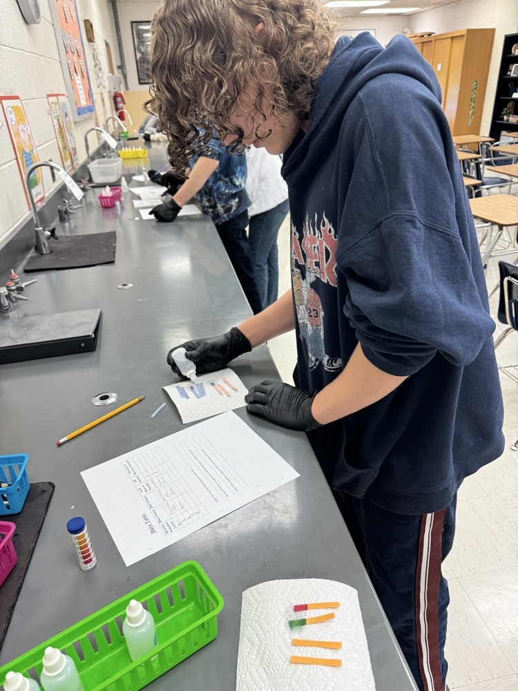 lab