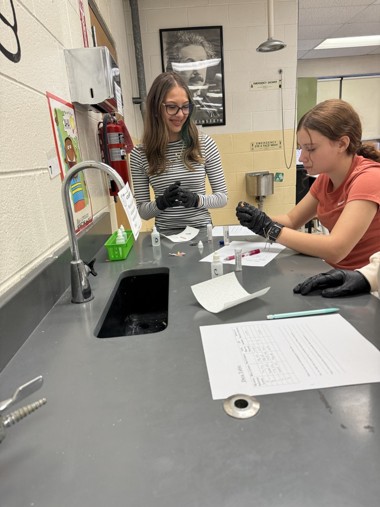 lab