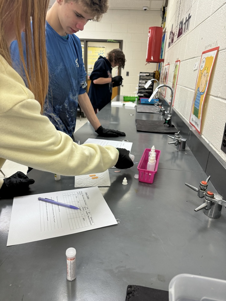 lab