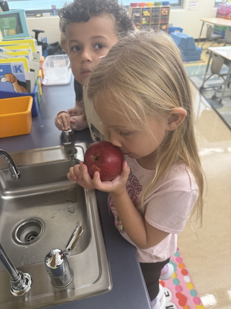 apples Arts & Letters