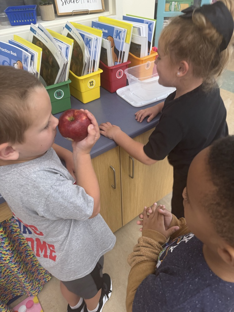 apples Arts & Letters