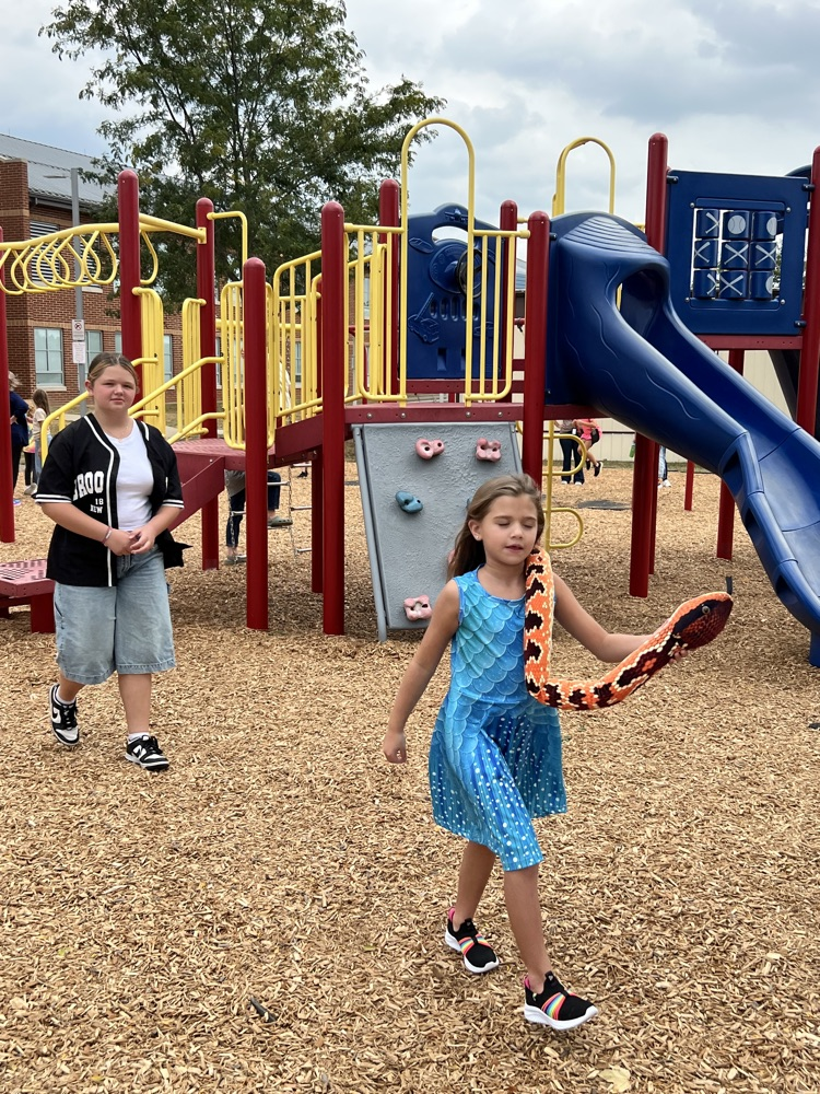 popsicles on the playground.