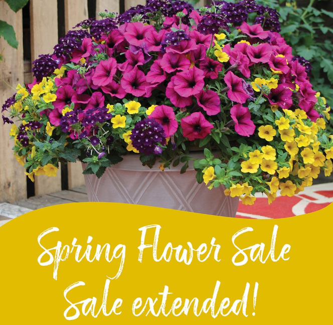 Sale Extended!