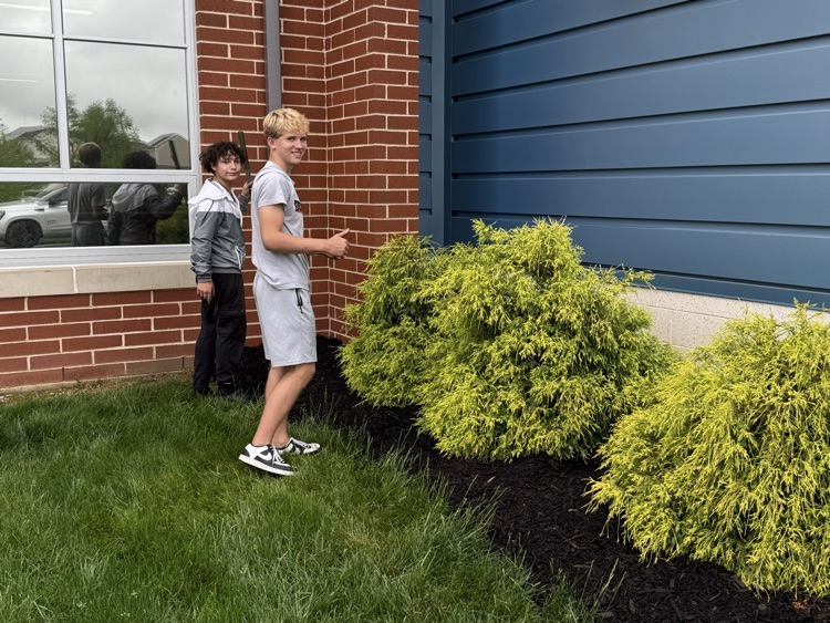 mulching day 