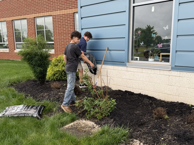 mulching day 