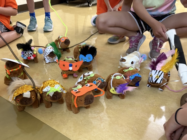 Camp Invention