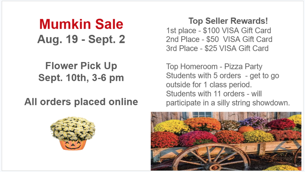 Mumkin Sale